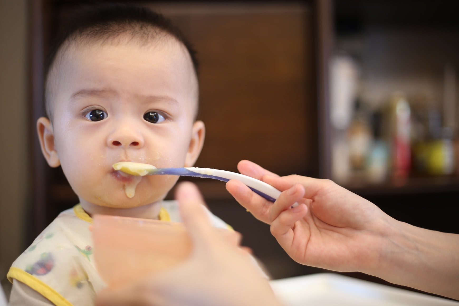 Comment ça, on veut me voler ma bouffe ? (© Unsplash)