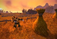 Des chenapans trichent à World of Warcraft Classic pour ne pas avoir à faire...