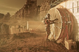 Ce champignon découvert à Tchernobyl pourrait être une clé de l'exploration spatiale