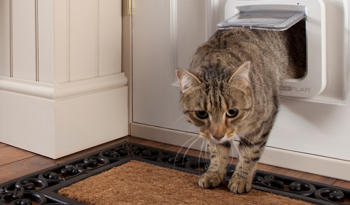 Une Chatiere Qui Reconnait Votre Chat Par Sa Puce D Identification Une Chatiere Qui Reconnait Votre Chat Par Sa Puce D Identification