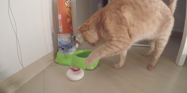 Diy Creez Un Distributeur De Croquettes Pour Votre Chat Avec Arduino Diy Creez Un Distributeur De Croquettes Pour Votre Chat Avec Arduino